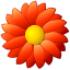 Decorative Films